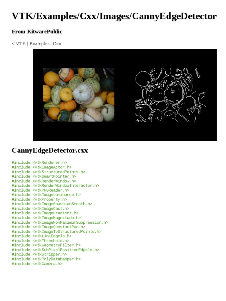 C++ VTK Canny Edge Detector Example | PDF | Scientific Modeling | Areas ...