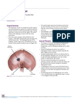 Diaphragm Injuries