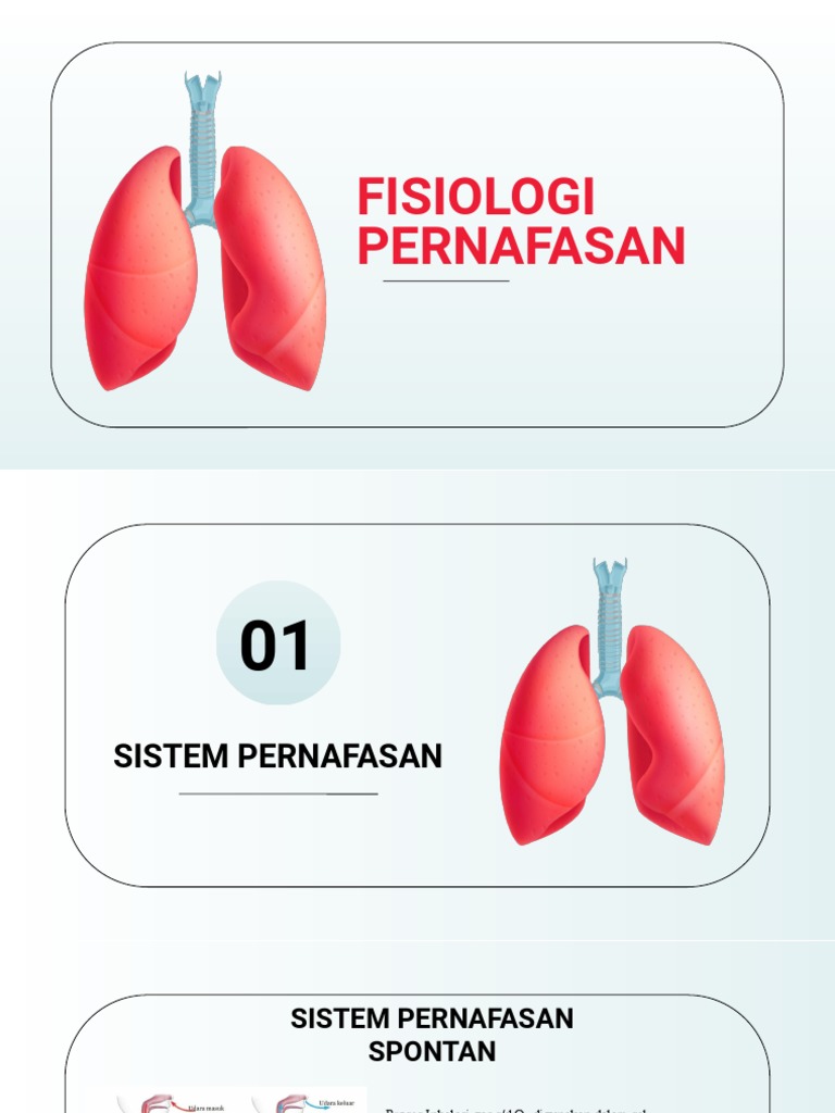 Fisiologi Pernafasan | PDF