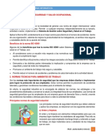 Seguridad y Salud Ocupacional - Resumido PDF