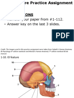 Bony Features Practice Assignment PDF