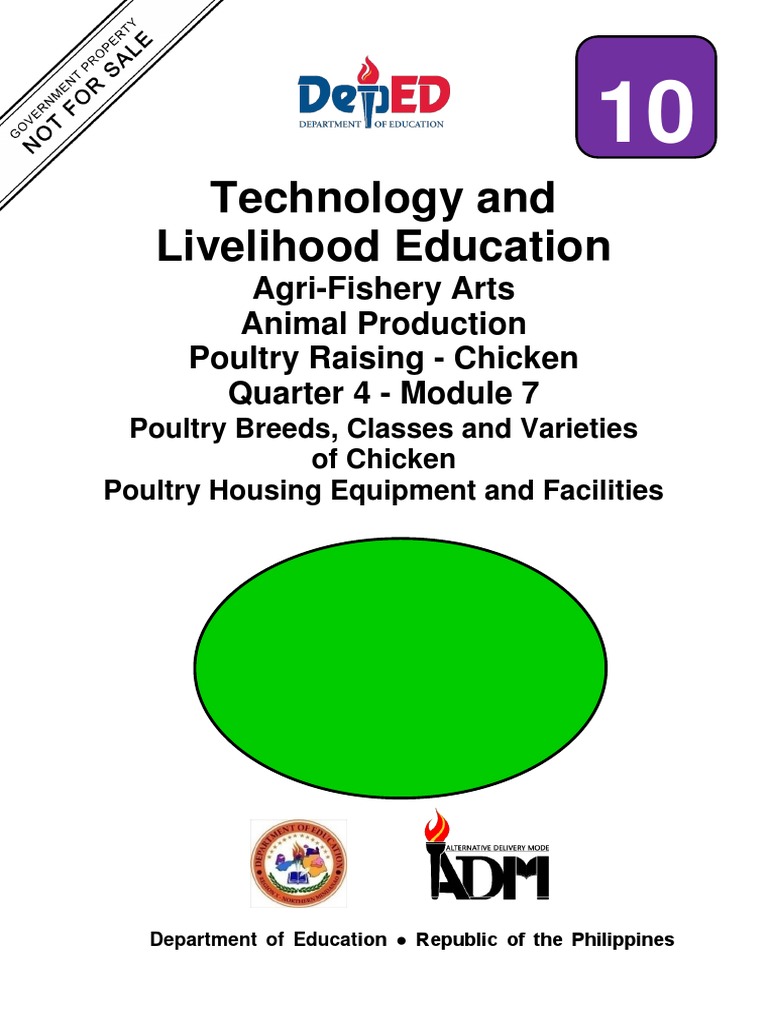 Tailwind Custom Classes V4