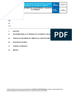 Hse-For-22 Informe Mensual de S&so