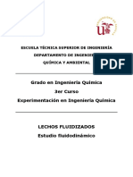 EIQ - Lecho Fluidizado Burbujeante PDF