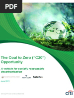 Citi's 'The Coal To Zero (C20) Opportunity' Presentation