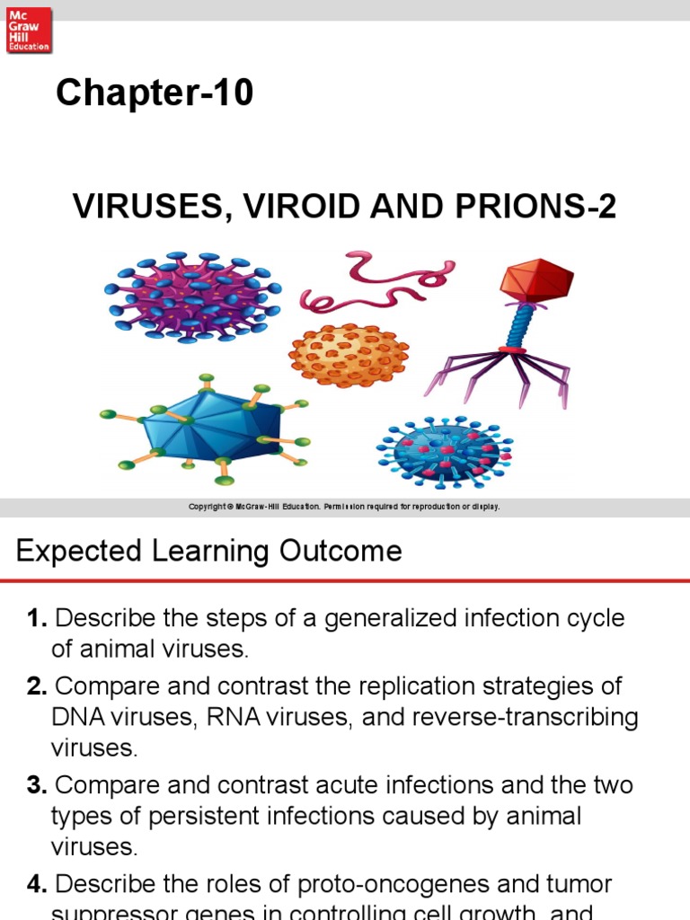 Mastering Quiz: Chapter 13 Virus And Prions A Flashcards – IEYHQ