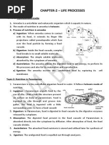 3.life Processes