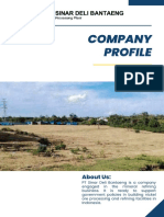 Company Profile of SDB