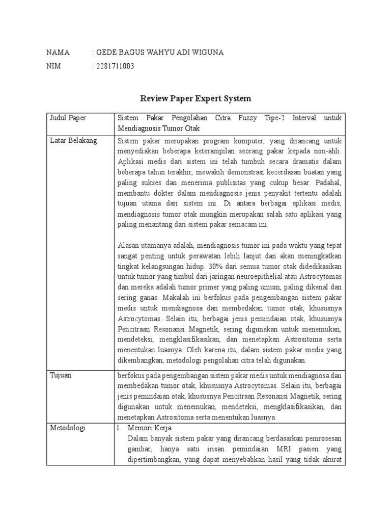 Review Paper Expert System PDF