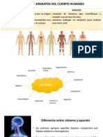 Sistemas y Aparatos