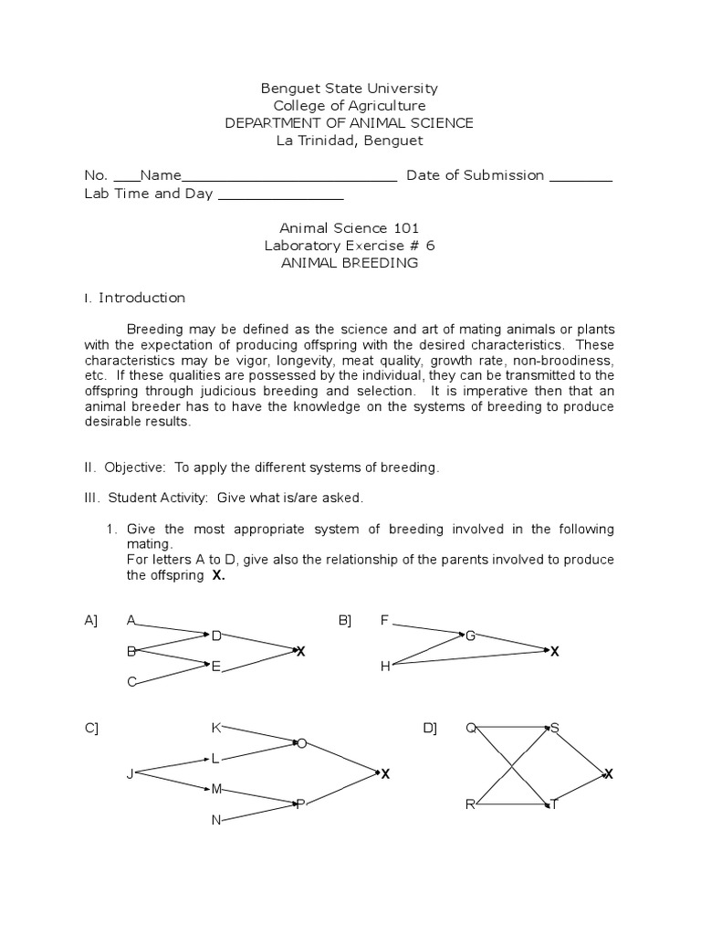 lab-exercise-6-pdf-selective-breeding-animal-breeding
