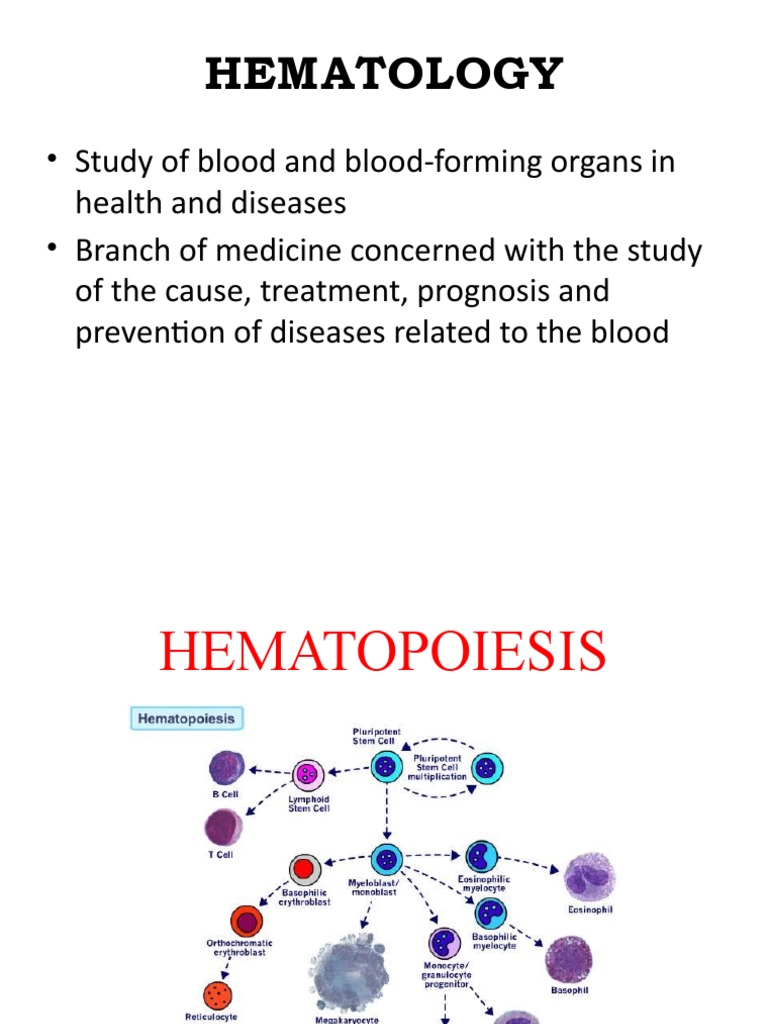 Comprehensive Overview of Hematology | PDF | Haematopoiesis | White ...