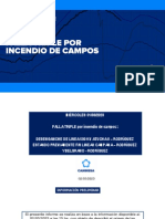 Informe Preliminar Triple Falla ET Rodríguez-1 PDF
