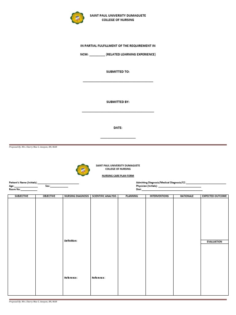 Nursing Care Plan Form | PDF