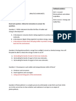 Photosynthesis and cellular respiration practice questions