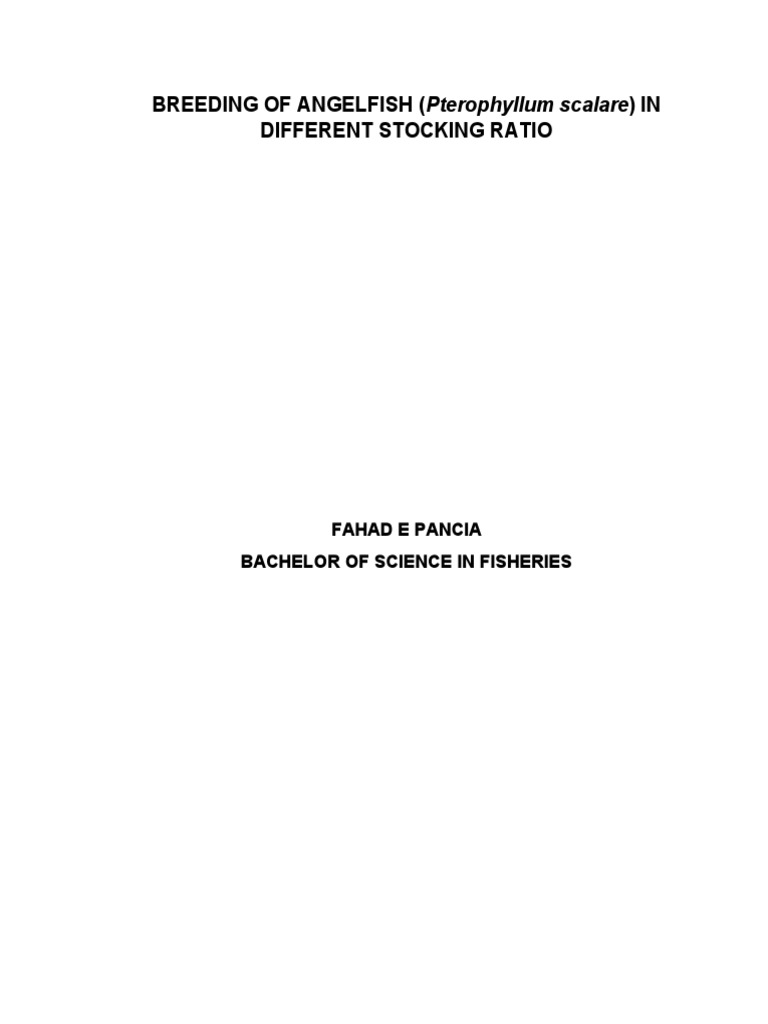 Breeding Freshwater Angelfish Insights | PDF