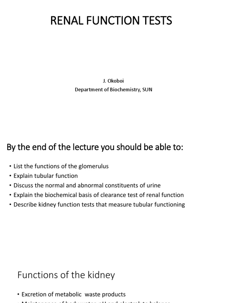 Renal function tests 1 pdf pdf kidney creatinine