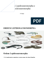 Ordem Lepidosauromorpha e Archosauromorpha.pptx