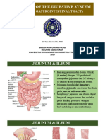 Lower Gi Tract Vascular - 2022