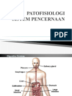 Anatomi Fisiologi Sistem Pencernaan