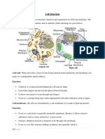 Note 2 Cell Structure PDF