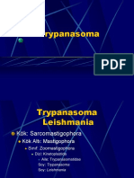 4 Trypanosoma PDF