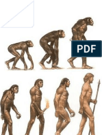 Evolución Del Hombre