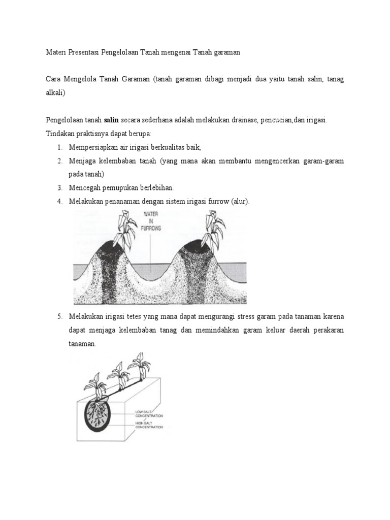 Materi Presentasi Pengelolaan Tanah Mengenai Tanah Garaman | PDF