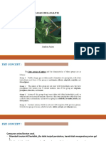 DKA 6 - Analisis Dan Identifikasi Anion