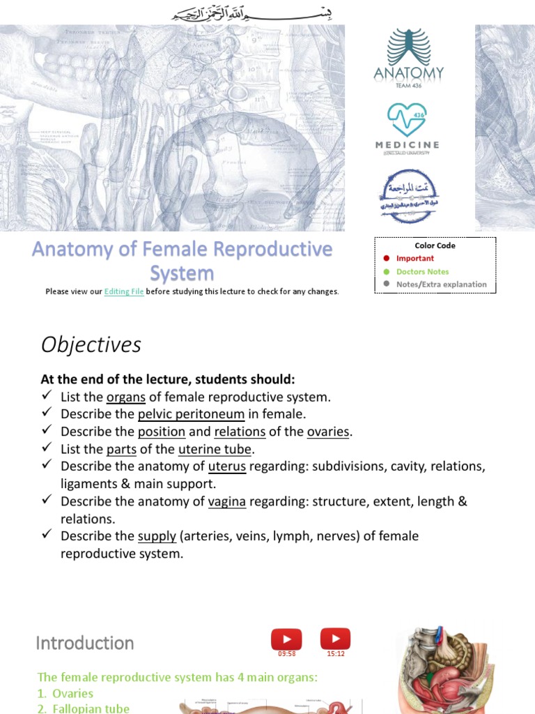 1 - Anatomy of Female Reproductive System PDF | PDF | Uterus | Vagina