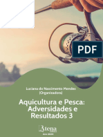 A Pesca Artesanal em Áreas de Inundação No Baixo Amazonas (PA)