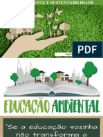 Aula 01 Educação Ambiental