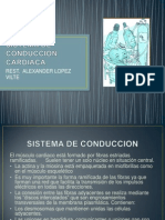 Sistema de Conduccion Cardiaca