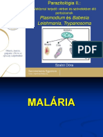Orvosi Parazitológia - Benne BABESIA PDF