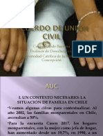 Acuerdo Unión Civil