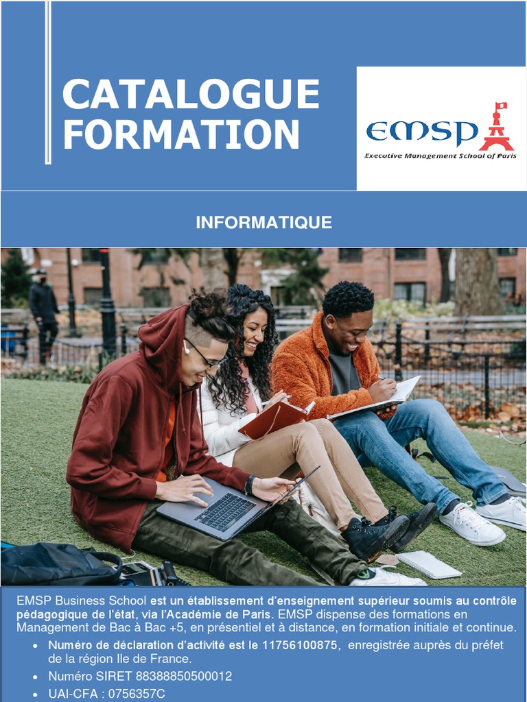 Mastère en Management Informatique | PDF | Informatique | Logiciel