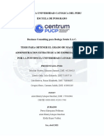 Business Consulting para Bodega Sotelo - SOTELO PDF