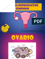 Sistema Reproductor Femenino PDF