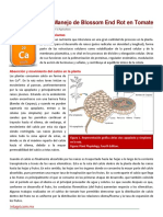 Manejo Del Blossom Ent Rot en Tomate PDF