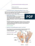 Actividad para La Clase de Exposicion Anatomica General Del Cuerpo