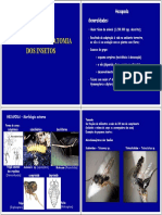 Entomologia 2 PDF