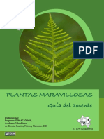 Modulo Plantas Maravillosas 01