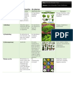 Actividad reino plantae