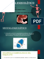 Sistema Esquel Tico