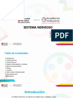 Sistema nervioso: células, estructura y funciones