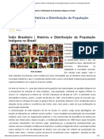 Índio Brasileiro _ História e Distribuição da População Indígena no Brasil - Enciclopédia Global™