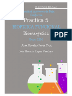 PRACTICA 5 Bioenergetica