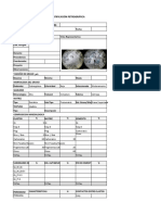 Reporte de Identificación Petrográfica