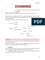 Ud 9: El Sistema Nervioso: Las Células