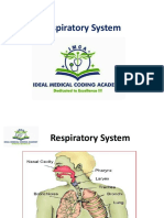 Respiratory System PDF